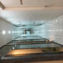 서울365치과의원 이미지