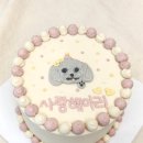 멍냥스푼 | 강아지 케이크 내돈내산 멍냥스푼 생일 개이크 후기