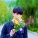 모해
