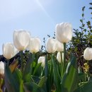 김원삼행정사사무실 이미지