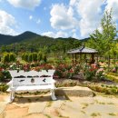 장미정원 이미지