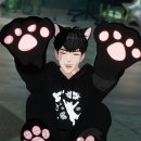 해피캣 이미지