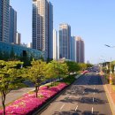 국제대로 이미지