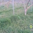 이규철농장 이미지