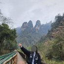 화랑공원 | [장가계] 무릉원 삼림공원 "십리화랑" 노패키지 자유여행 후기 :: 셔틀버스, 열차, 원숭이 공격