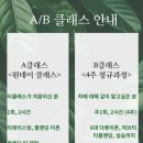 티앤북클래스