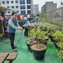 공간인천지사 Daum카페