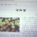 그녀의 꽃이야기 1 이미지