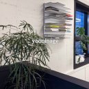 갈산농업협동조합 | 아산 탕정미용실 얇은 곱슬머리 윤이나게 복구매직 후기
