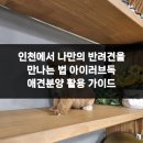 아이러브 독 이미지