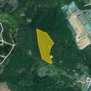 대룡정수장 이미지