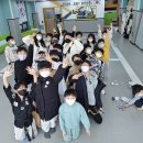 용인대 백호 태권도 이미지