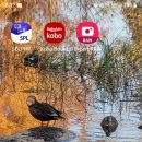 📘 4차원 파동포털폰이 그리는 큰 그림 이미지