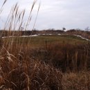 덕진목장 이미지