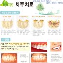 느티나무치과의원 이미지