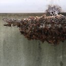 탄현119안전센터 이미지