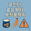 공진단 효능부터 부작용까지, 한의원에서 직접 처방받은 후기