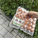 좋은계란우장산숲점