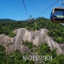 열정