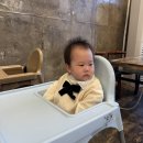 고등동 해물칼국수 내돈내산 후기_난바다해물칼국수 판교점