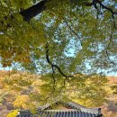 덕운문화 | 아름다운 곡선 남한산성 가을 여행 ~ 동문에서 시작된 가을과의 만남