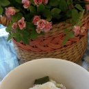 일영랜드 이미지