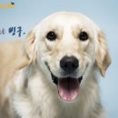 스튜디오키스 이미지
