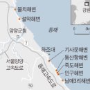 양양이 이미지