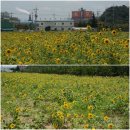 강변특장 이미지