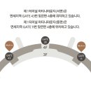 유니마에