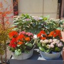 무뚝이청국장&순두부 이미지