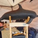 제주환경자원순환센터 해돋이힐링센터 이미지