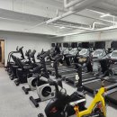 스타헬스 이미지