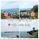 경주 - 지질명소 가볼만한곳 문무대왕릉, 경주양남주상절리전망대