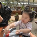 아침농원 이미지