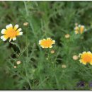 광림농원 이미지