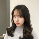 브러쉬미용실 이미지