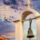 눈큰나라 이미지