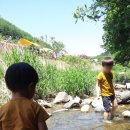 천사봉 오토 캠핑장 이미지