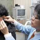 닥터보청기 이미지