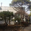 곤지한정식 | 한정식&lt;곤지&gt;후기:용인시 고기동