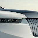 피스테일 이미지