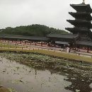 백제문화단지 티스토리
