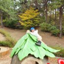 사상근린공원 이미지