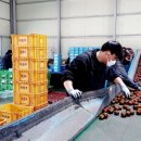 화천시장조합 아시아경제