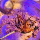 한대앞역 맛집 [형제들감자탕]에서 파채 가득한 감자탕 맛에 폭삭 빠졌수다 😍