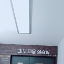 대한두피디자인협회 이미지