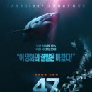 47 이미지