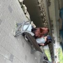 삼년만에돌아온블로그-5월 이모저모