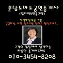 정자동 중개이야기 이미지